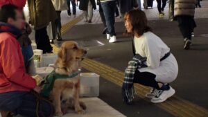 【初撮】マジでナンパされた24歳医療事務・歩実の生々しい素顔。 1265